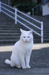 長崎市　城山公園２