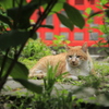 福岡　博多　水鏡天満宮横丁