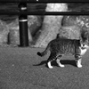 読んだか？
