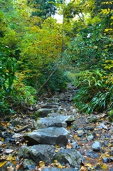高尾山６号路