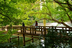 井の頭公園の橋