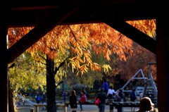 陽だまりに賑わう公園