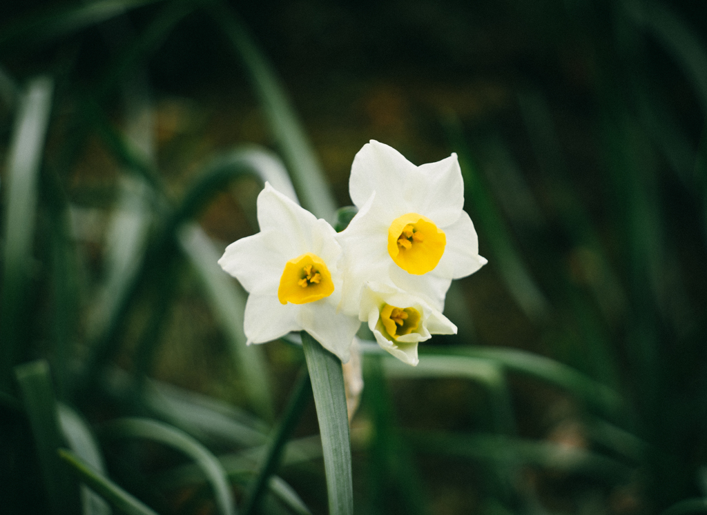 85