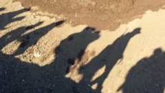 20130829_055455