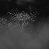 P9287939