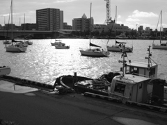 P9157472