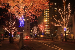 夜の紅葉