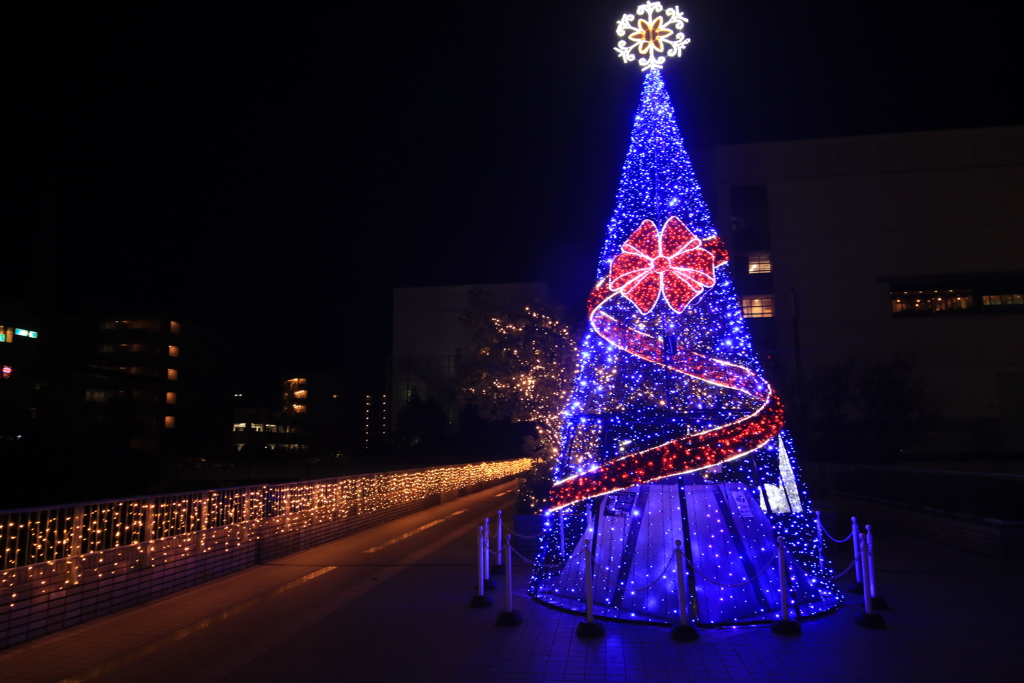 クリスマスツリー