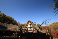 PLフィルターの青