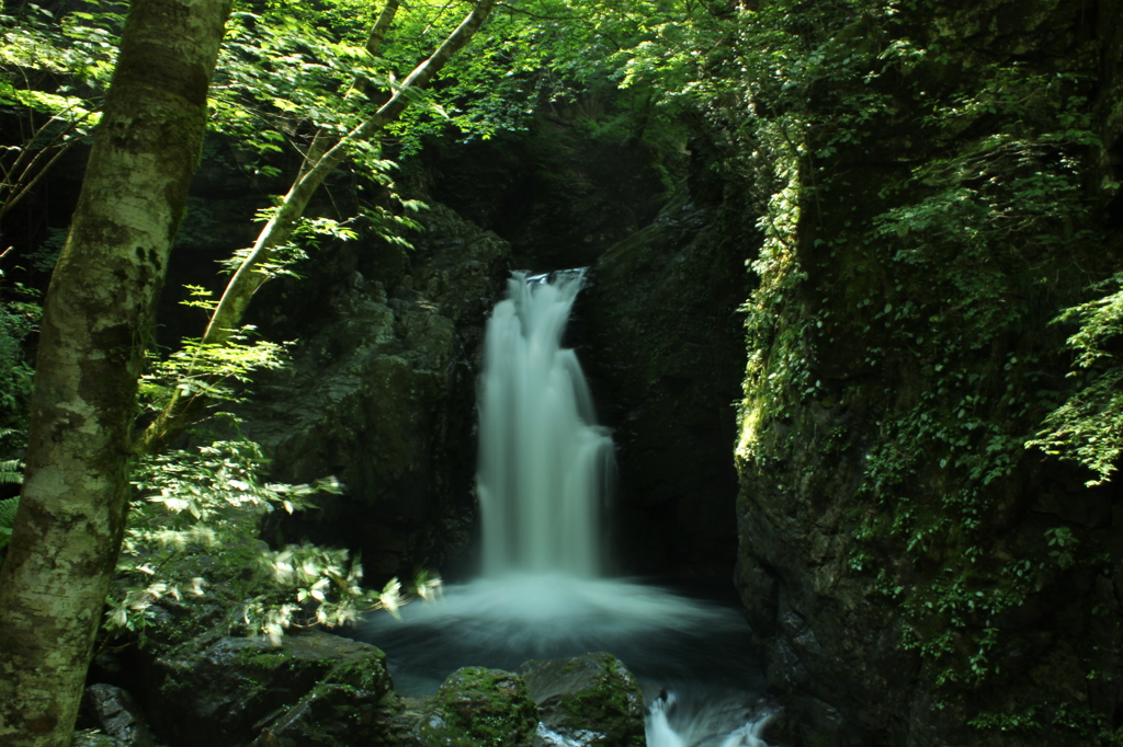 滝