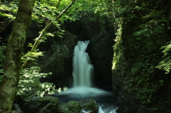 滝