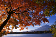 富士と紅葉