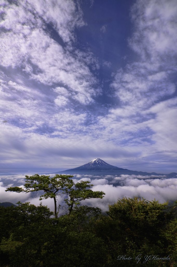 消えかけの雲海と