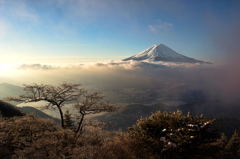 冬の富士