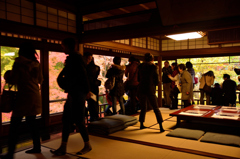 京都散策、瑠璃光院２階から、その後
