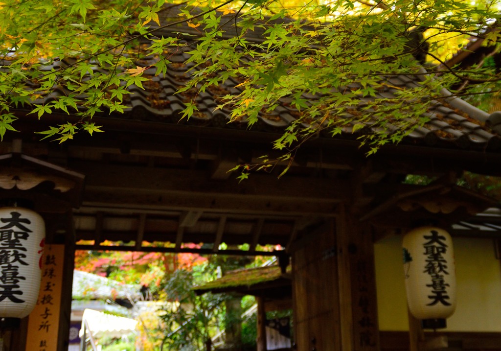 毘沙門堂から下りて