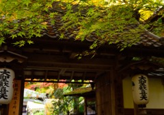 毘沙門堂から下りて