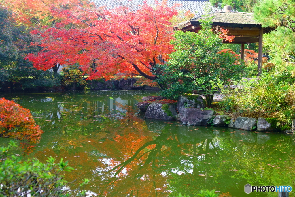 越前陶芸村1