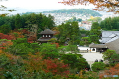 銀閣寺2015の3