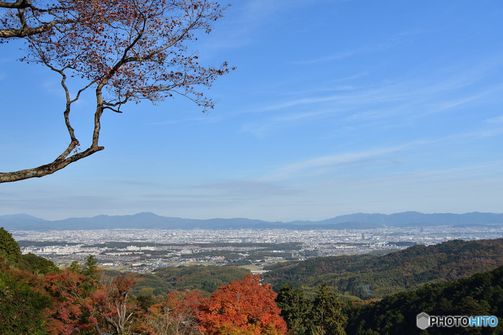 善峯寺から京都市内を望む