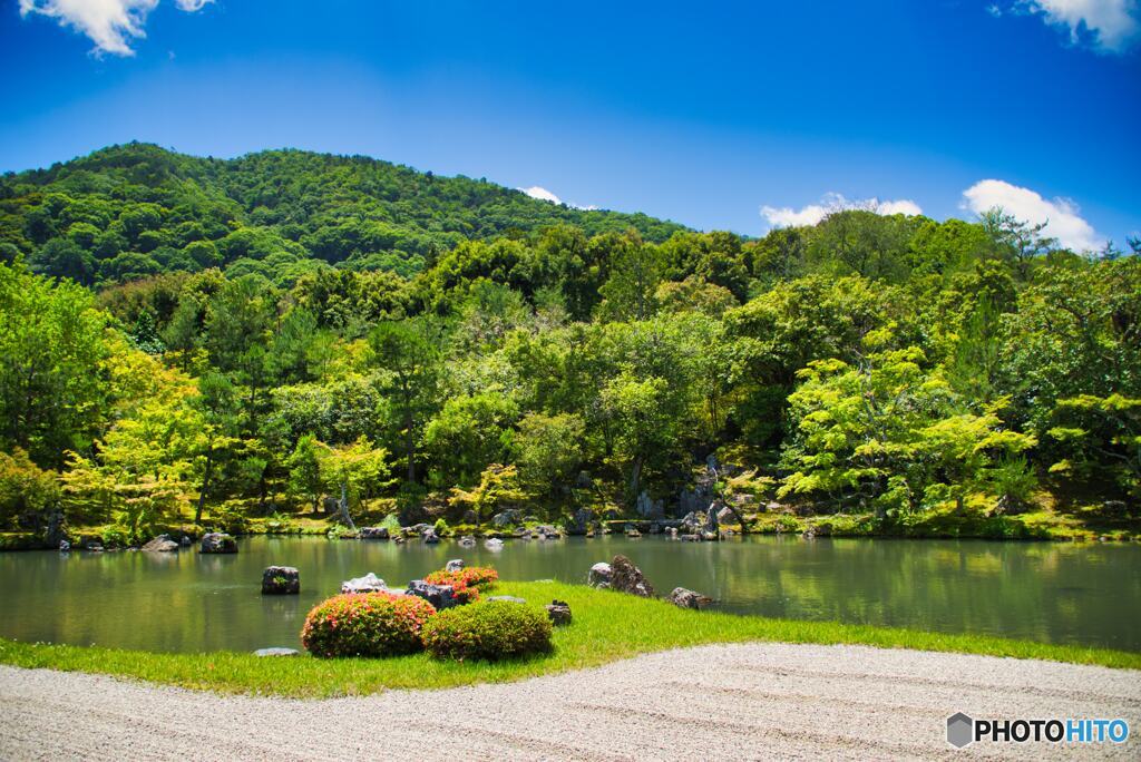 曹源池を望む