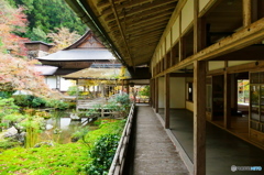 山寺