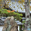大池寺から石の上にも3年