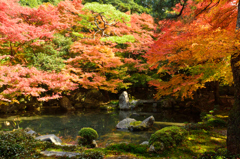 京都散策、蓮華寺　壱