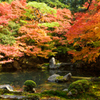 京都散策、蓮華寺　壱