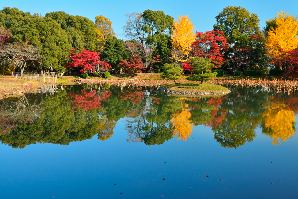 京都散策大覚寺、大沢池