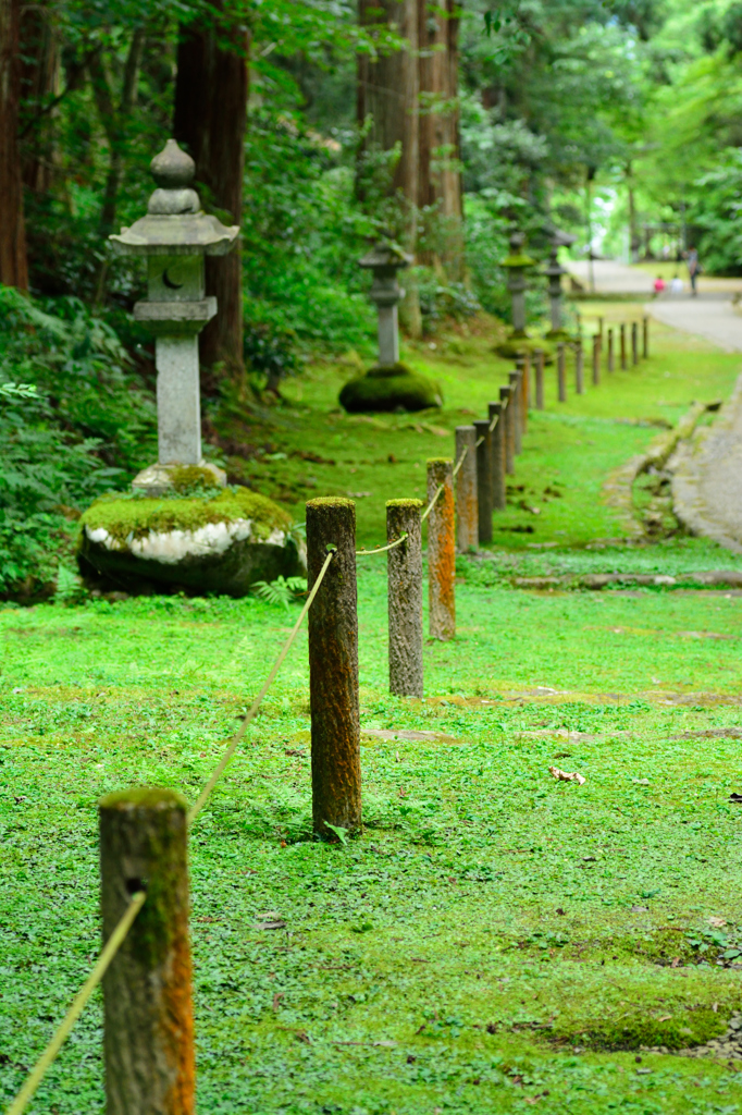 平泉寺参道沿い