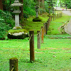 平泉寺参道沿い