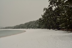 雪の松原