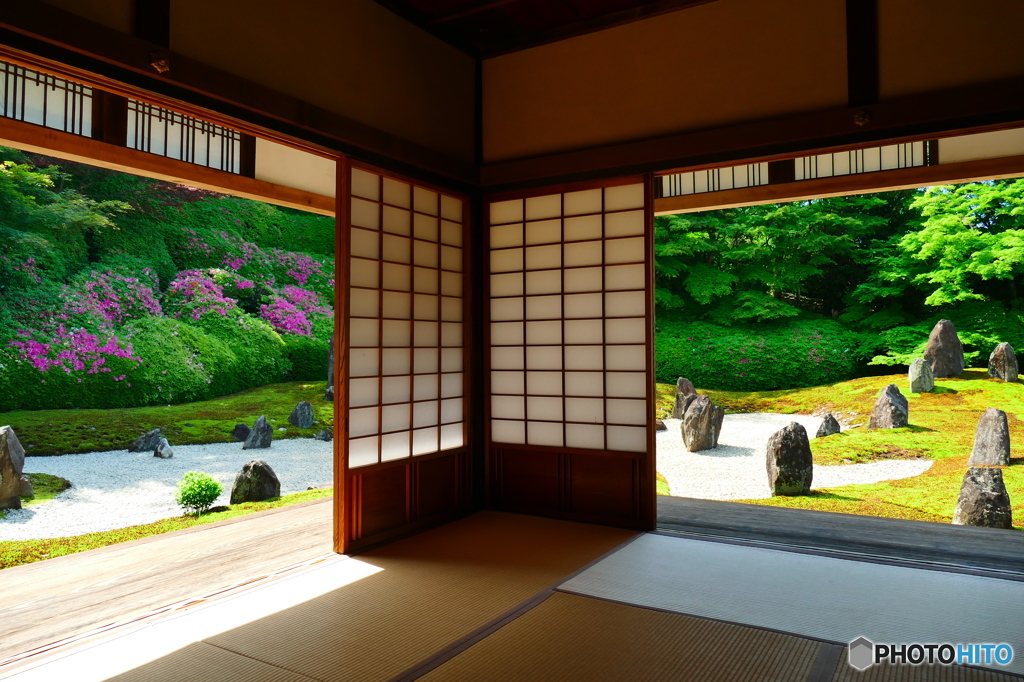 東福寺塔頭光明院　春の石庭美