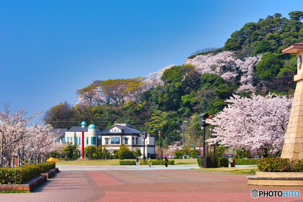 いつもの公園　休日の午前中