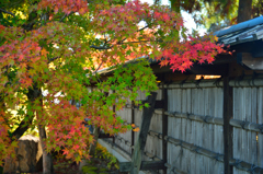 越前陶芸公園の一角で