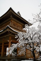 雪の西福寺三門