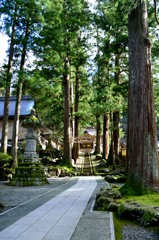 永平寺参道