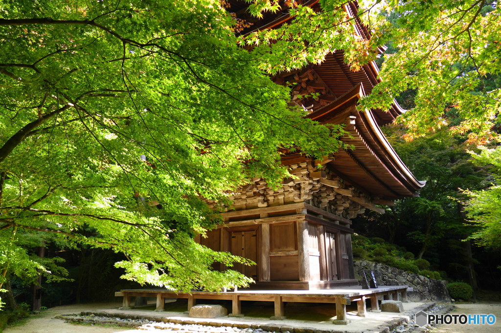 三重塔にて