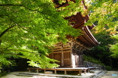 三重塔にて