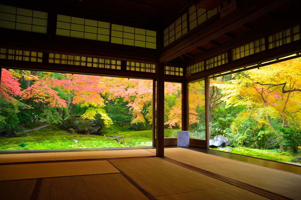 京都散策、瑠璃光院1階瑠璃の庭