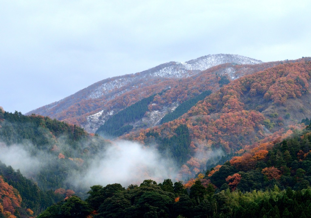 現場の朝冬がそこまで