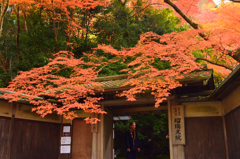 京都散策、瑠璃光院門前