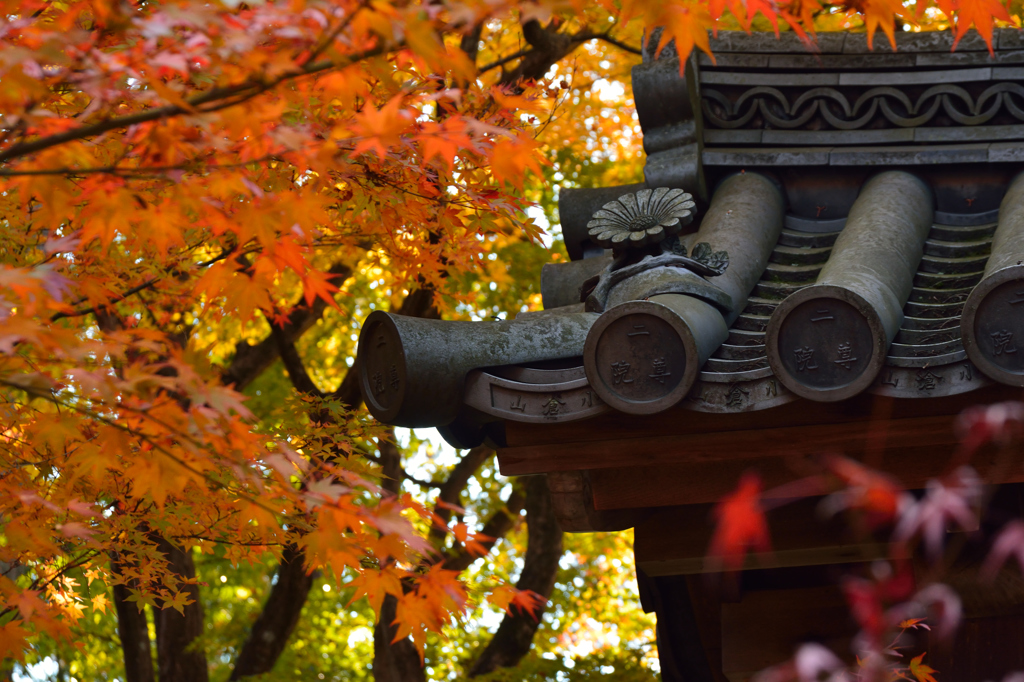京都嵐山散策、二尊院、瓦と紅葉