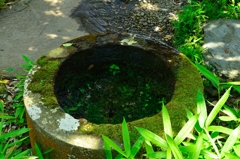 湧き水