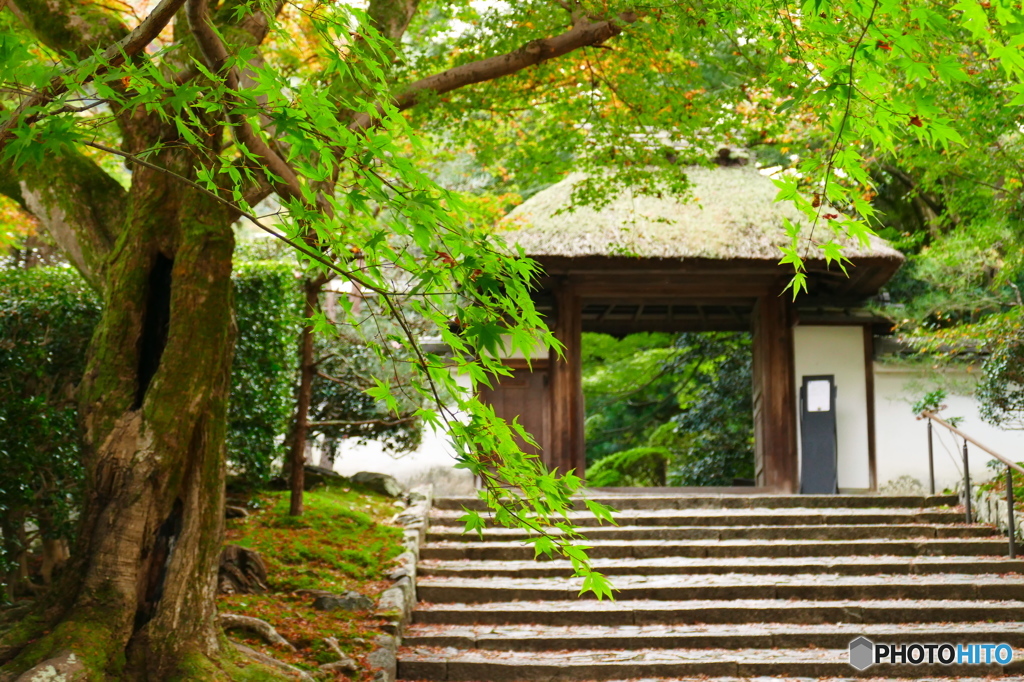 安楽寺2015の3