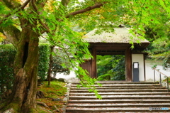 安楽寺2015の3