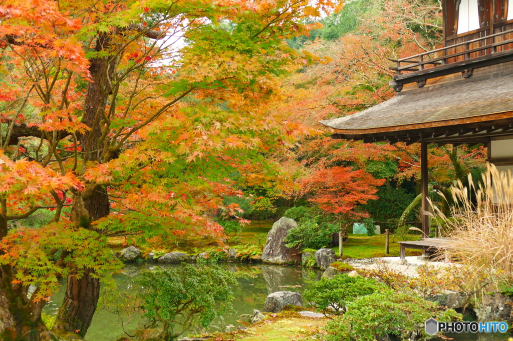 銀閣寺2015の1