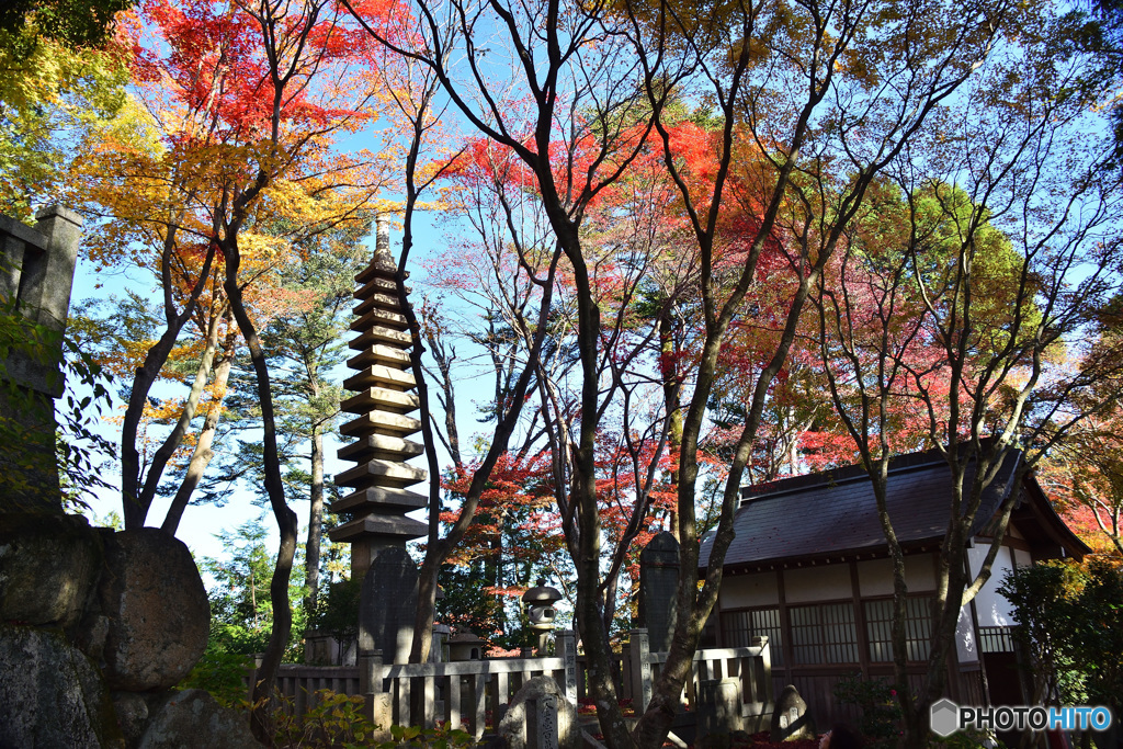 柳谷観音　楊谷寺から3