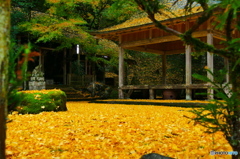 岩戸落葉神社横から